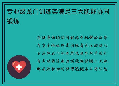 专业级龙门训练架满足三大肌群协同锻炼