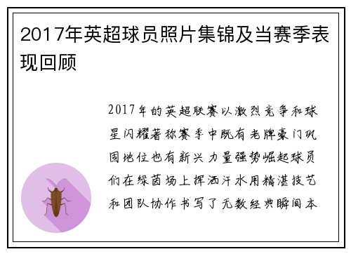 2017年英超球员照片集锦及当赛季表现回顾